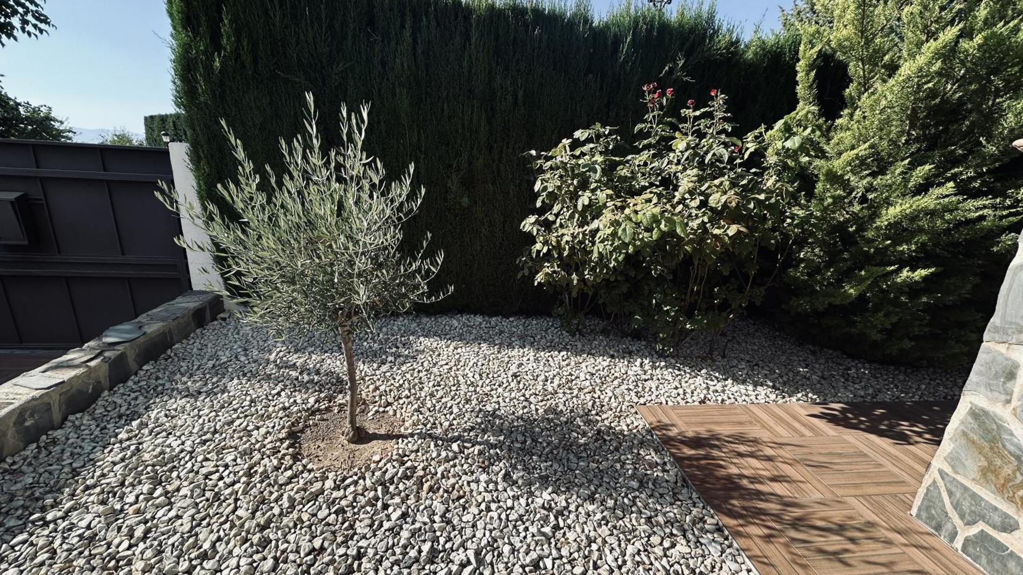 Extraordinaria Villa Con Piscina Y Chimenea 格拉纳达 外观 照片